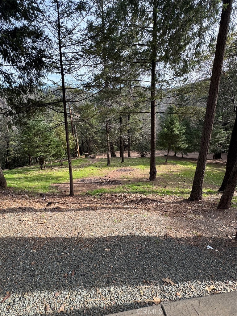 14986 Western Mine Road Middletown, CA 95461 - Photo 45 of 60 a view of a yard with a tree