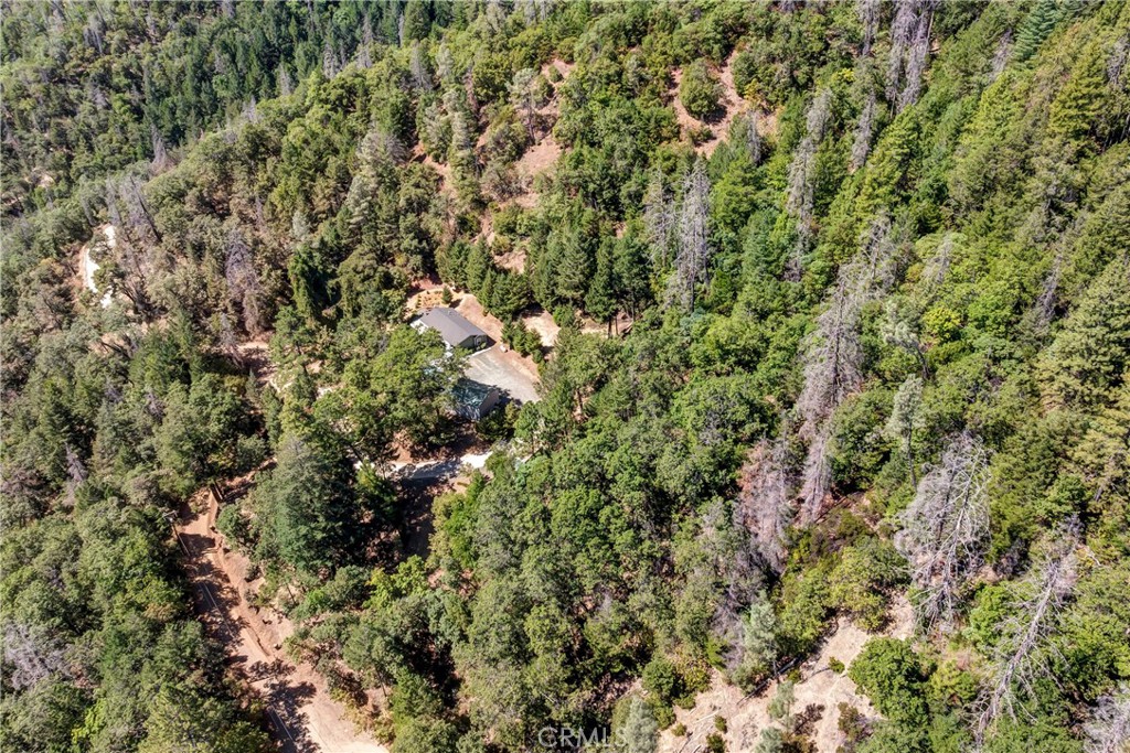 14986 Western Mine Road Middletown, CA 95461 - Photo 54 of 60 a view of a lush green forest