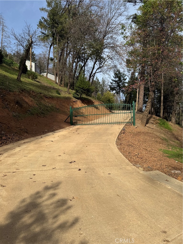 14986 Western Mine Road Middletown, CA 95461 - Photo 59 of 60 a view of yard with tree