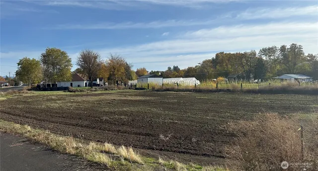 a view of a town with big trees