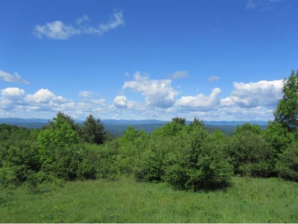 35 Frye Road Tunbridge, VT 05077 - Photo 1 of 1