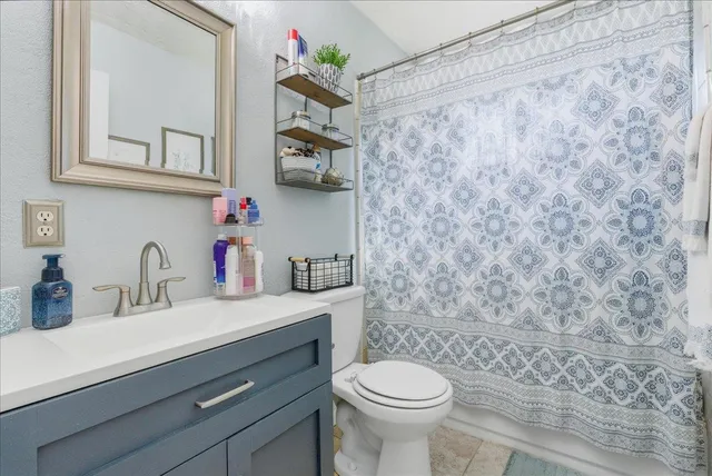 a bathroom with a sink and a toilet