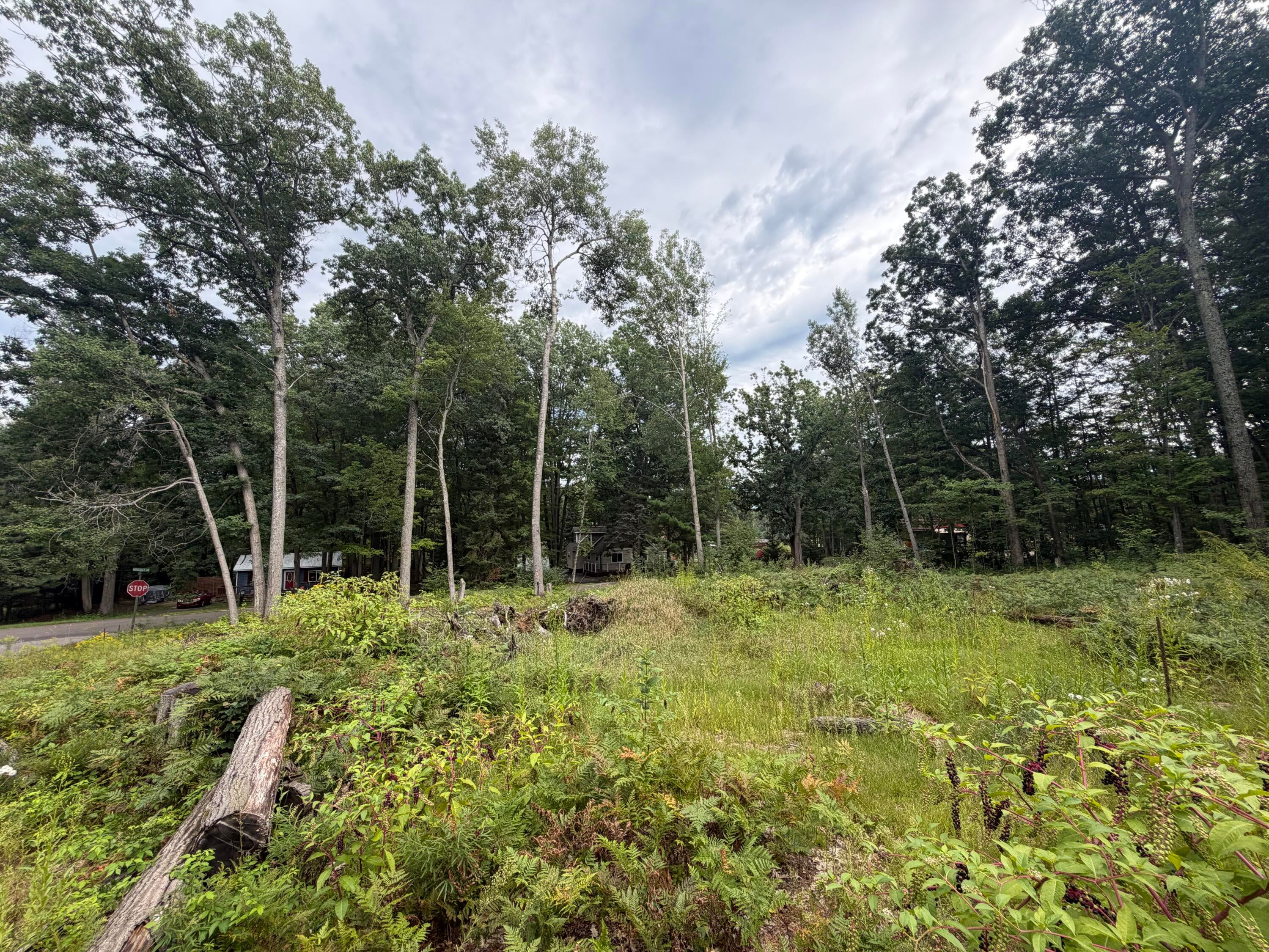 307 Ridgedale Drive Roscommon, MI 48653 - Photo 5 of 10 Gallery Image 5
