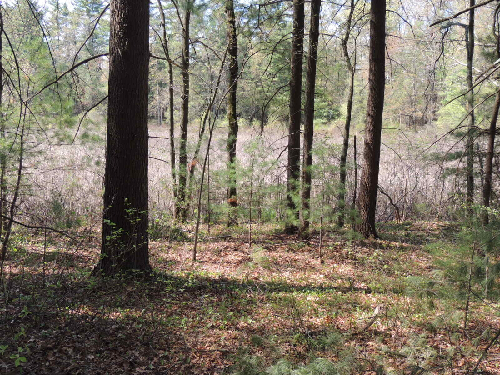 730 Clayton Road Sheffield, MA 01222 - Photo 20 of 21