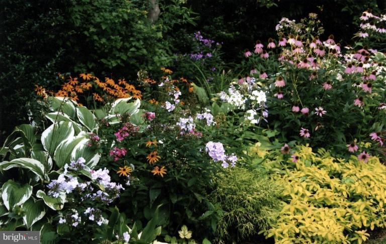 5700 Rusk Avenue Baltimore, MD 21215 - Photo 20 of 30 Summer Gardens #3