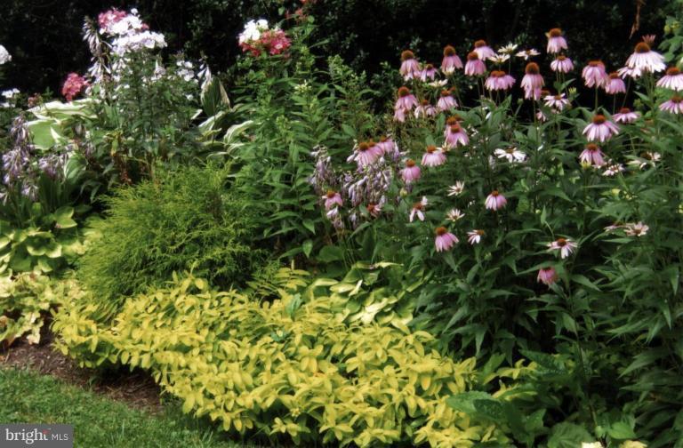 5700 Rusk Avenue Baltimore, MD 21215 - Photo 28 of 30 Summer Gardens