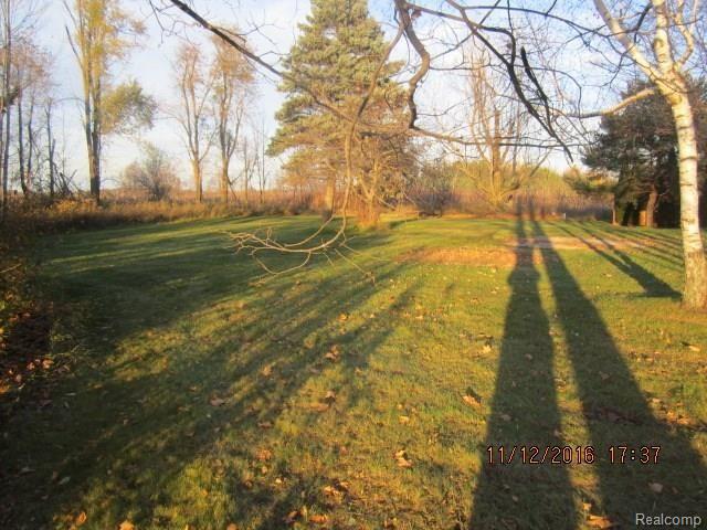 4895 East Burnside Road North Branch, MI 48461 - Photo 21 of 24 4895 Burnside Land IMG_7979 (38).jpg