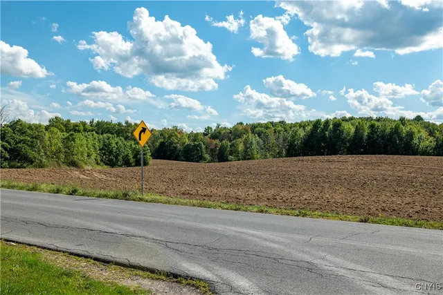 $1,000,000 | 36 Whitewood Tract, Granby, NY 13135