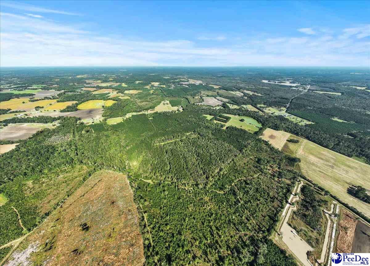 Tbd East Tbd E Friendfield Road Coward, SC 29530 - Photo 5 of 29 Gallery Image 5