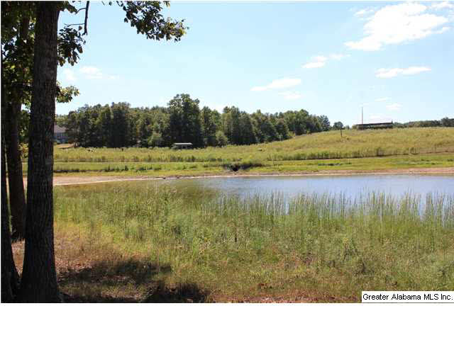 13084 Jackson Trace Road, Unit 94 83 AC Lincoln, AL 35096 - Photo 32 of 32