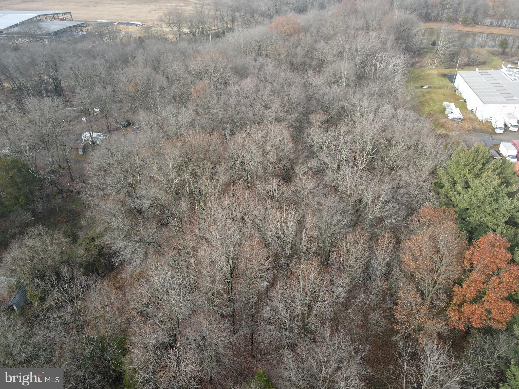 74 Stacy Haines Road Lumberton, NJ 08048 - Photo 4 of 9
