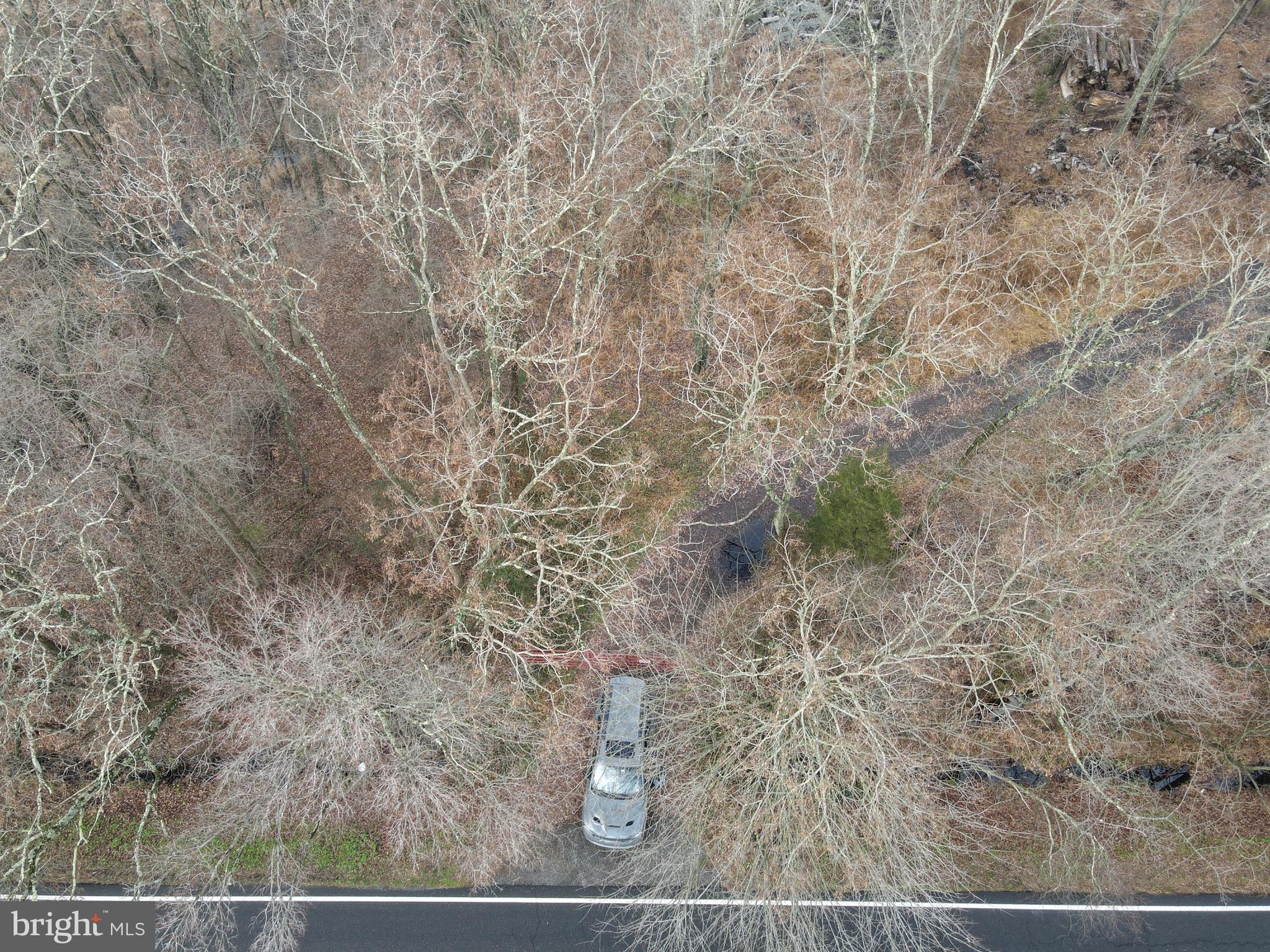 74 Stacy Haines Road Lumberton, NJ 08048 - Photo 9 of 9