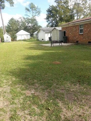 807 Trione Street Daphne, AL 36526 - Photo 2 of 6 back yard