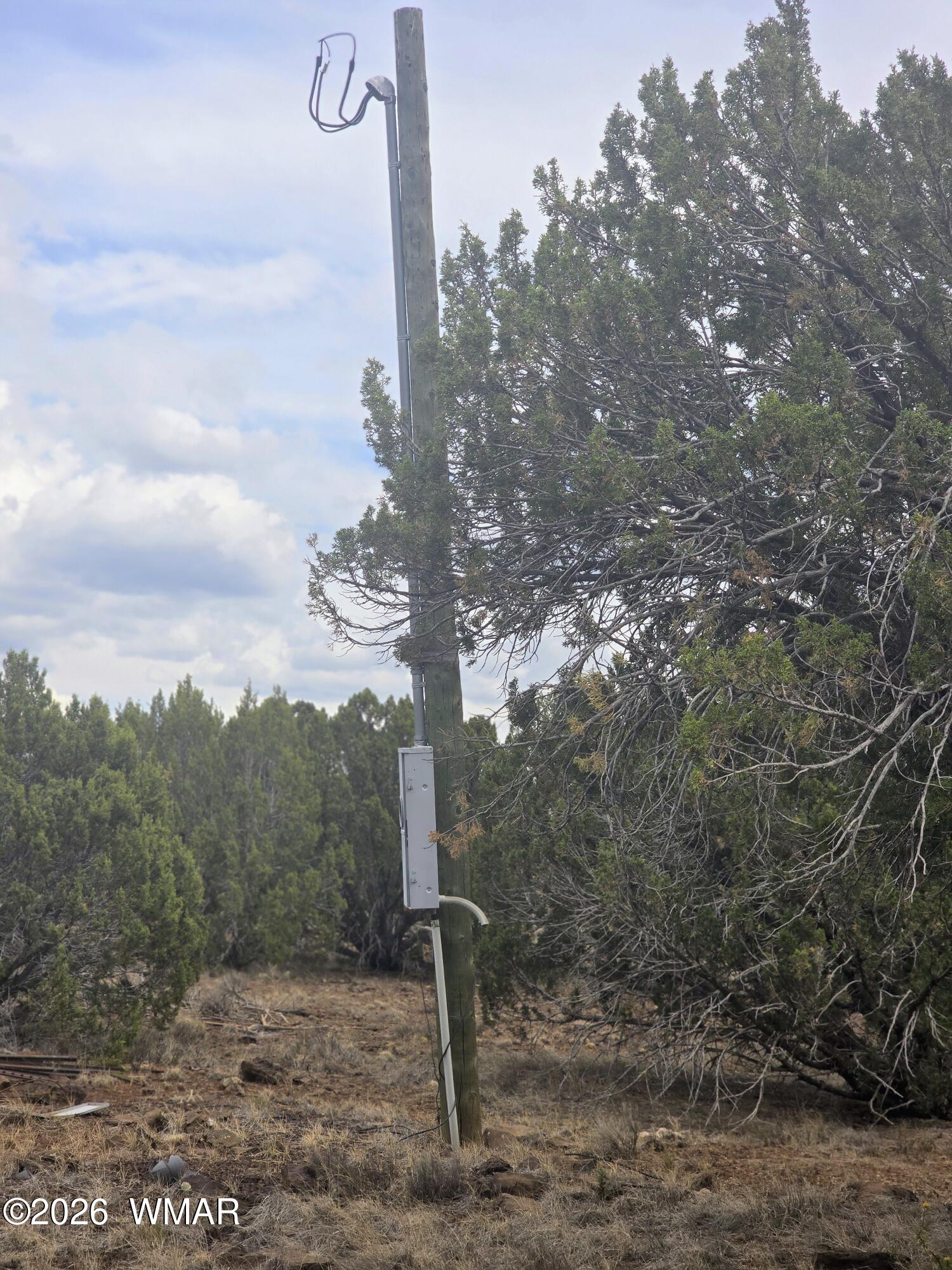 84 County Road Concho, AZ 85924 - Photo 8 of 9