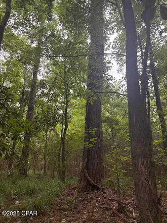 $229,000 | 0 Point Milligan Road, Quincy, FL 32352