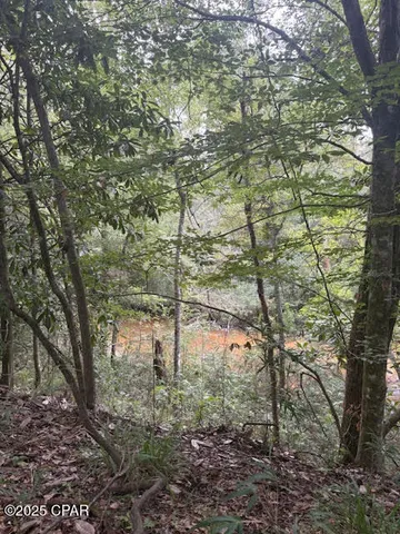 $229,000 | 0 Point Milligan Road, Quincy, FL 32352