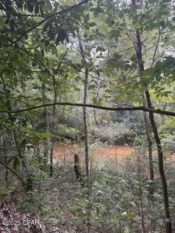 $229,000 | 0 Point Milligan Road, Quincy, FL 32352