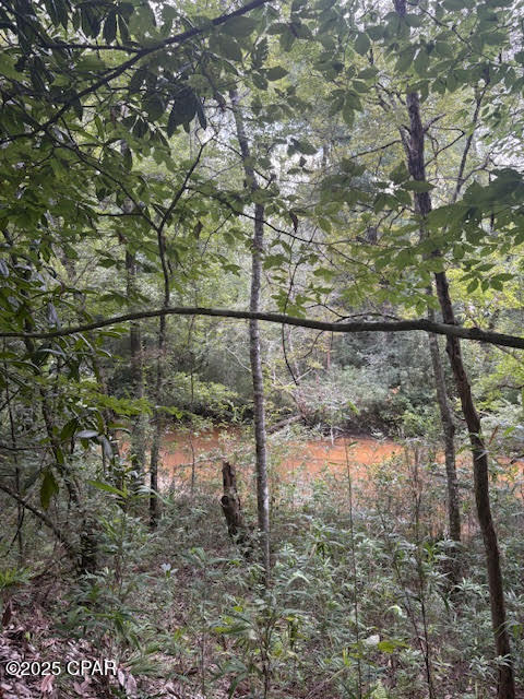 0 Point Milligan Road Quincy, FL 32352 - Photo 12 of 19