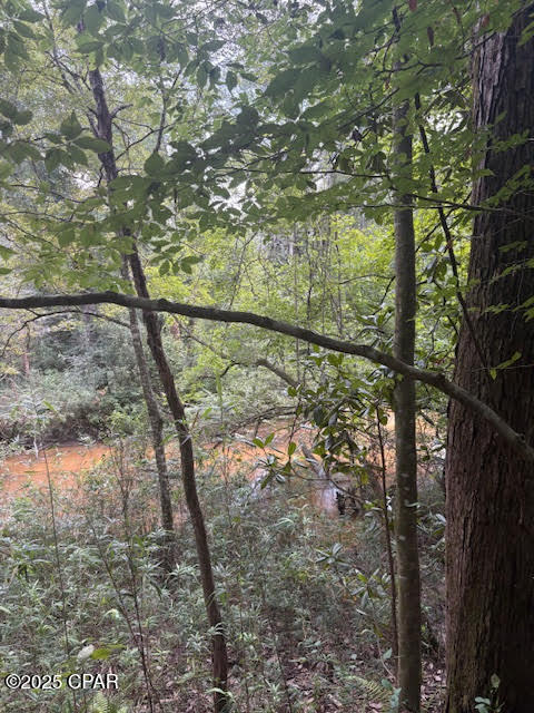 0 Point Milligan Road Quincy, FL 32352 - Photo 13 of 19