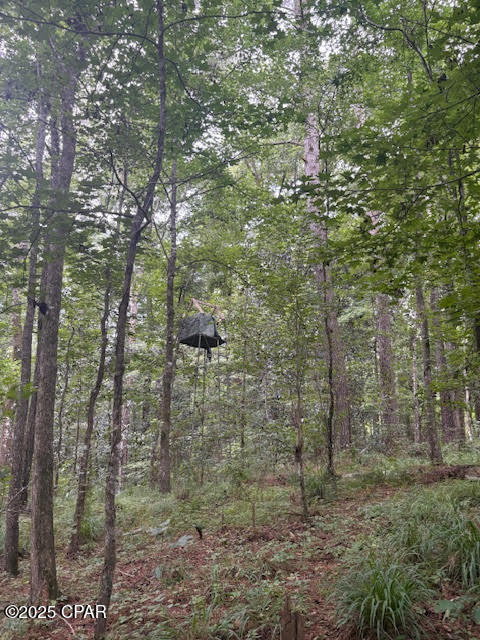 0 Point Milligan Road Quincy, FL 32352 - Photo 14 of 19