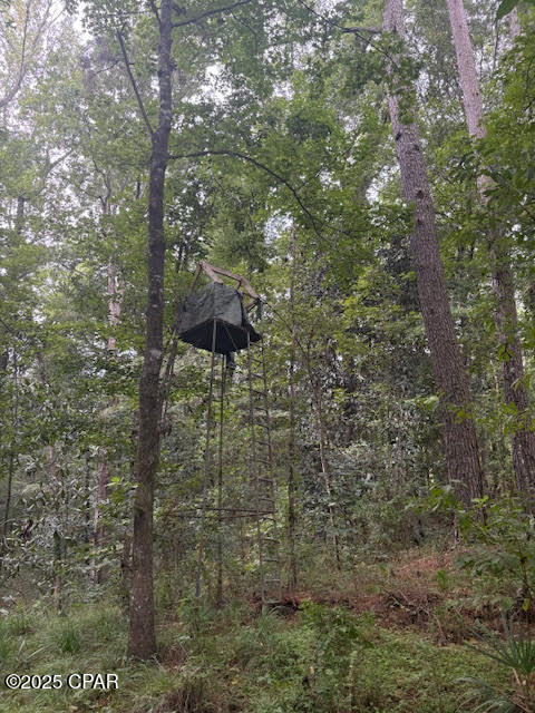 0 Point Milligan Road Quincy, FL 32352 - Photo 15 of 19