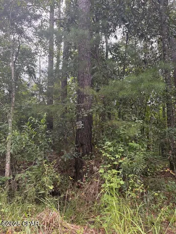 $229,000 | 0 Point Milligan Road, Quincy, FL 32352