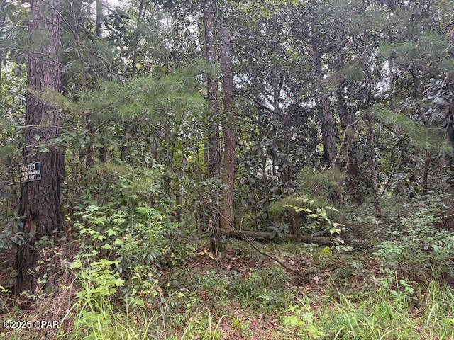 0 Point Milligan Road Quincy, FL 32352 - Photo 17 of 19