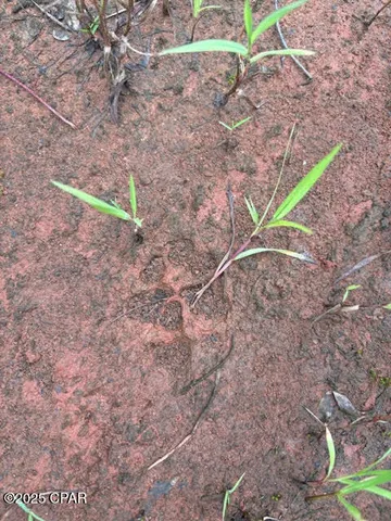 $229,000 | 0 Point Milligan Road, Quincy, FL 32352