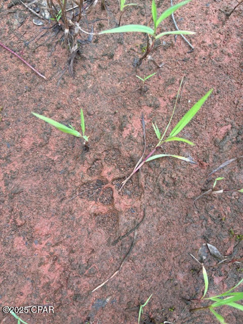 0 Point Milligan Road Quincy, FL 32352 - Photo 18 of 19