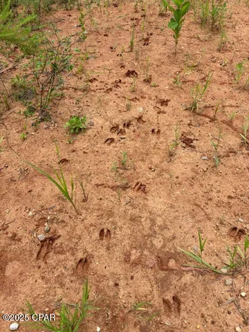 $229,000 | 0 Point Milligan Road, Quincy, FL 32352