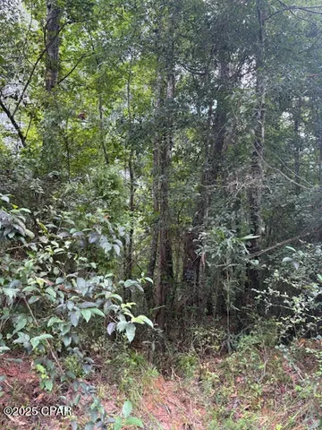 $229,000 | 0 Point Milligan Road, Quincy, FL 32352