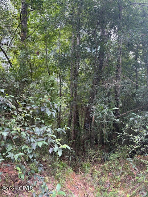 0 Point Milligan Road Quincy, FL 32352 - Photo 3 of 19