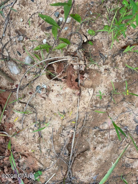 0 Point Milligan Road Quincy, FL 32352 - Photo 4 of 19