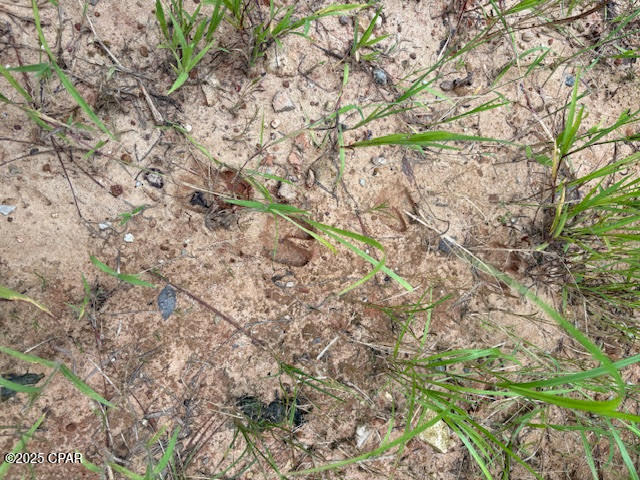 0 Point Milligan Road Quincy, FL 32352 - Photo 5 of 19