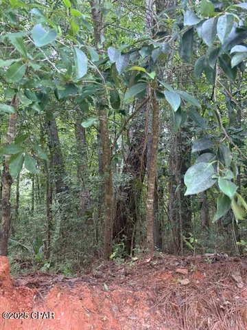 $229,000 | 0 Point Milligan Road, Quincy, FL 32352