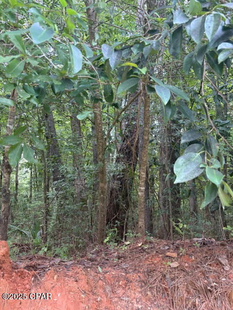 0 Point Milligan Road Quincy, FL 32352 - Photo 6 of 19