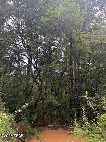 $229,000 | 0 Point Milligan Road, Quincy, FL 32352