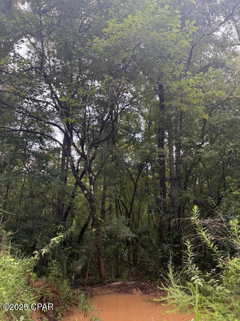 0 Point Milligan Road Quincy, FL 32352 - Photo 7 of 19