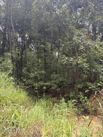 $229,000 | 0 Point Milligan Road, Quincy, FL 32352