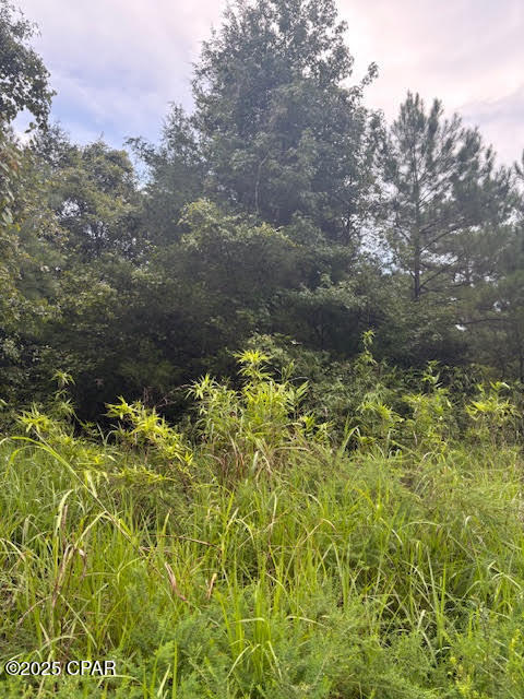 0 Point Milligan Road Quincy, FL 32352 - Photo 9 of 19