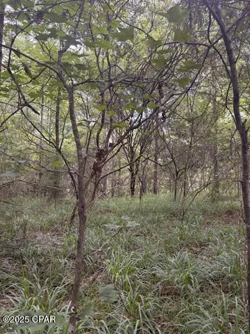 $229,000 | 0 Point Milligan Road, Quincy, FL 32352