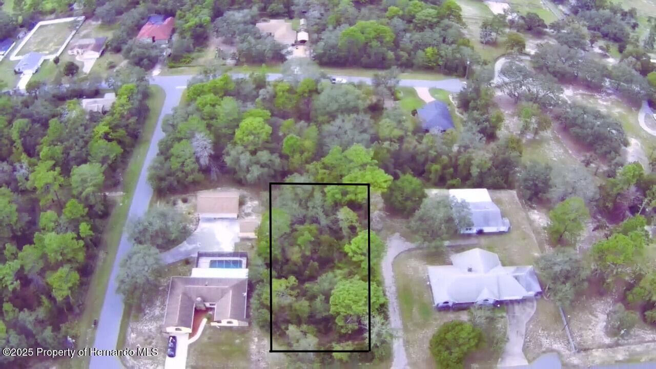 0 Kitty Road Weeki Wachee, FL 34614 - Photo 1 of 1