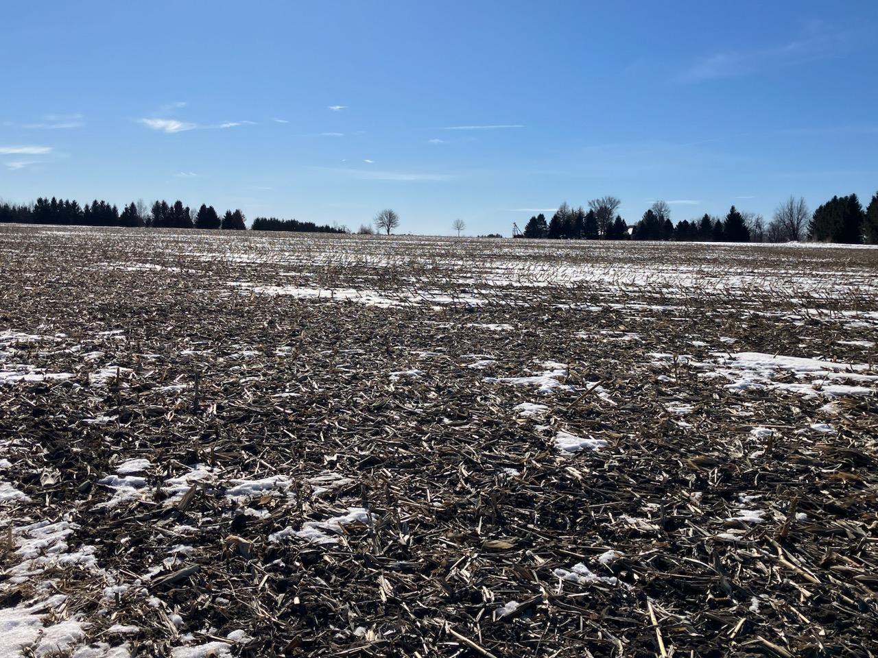 0 Grade School Road Poplar Grove, IL 61065 - Photo 7 of 10 a view of a large body of water with a building in background