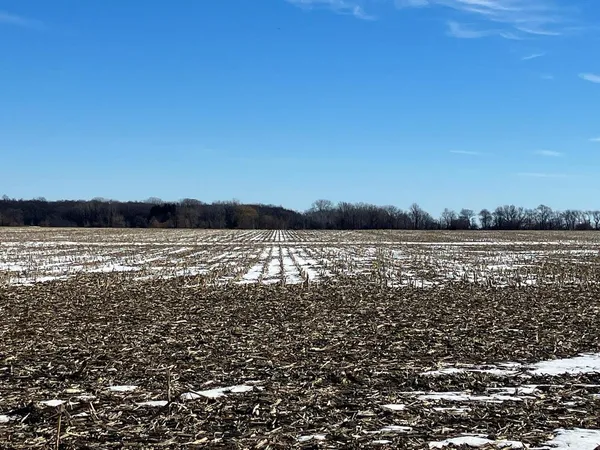 a view of pool with trees in background