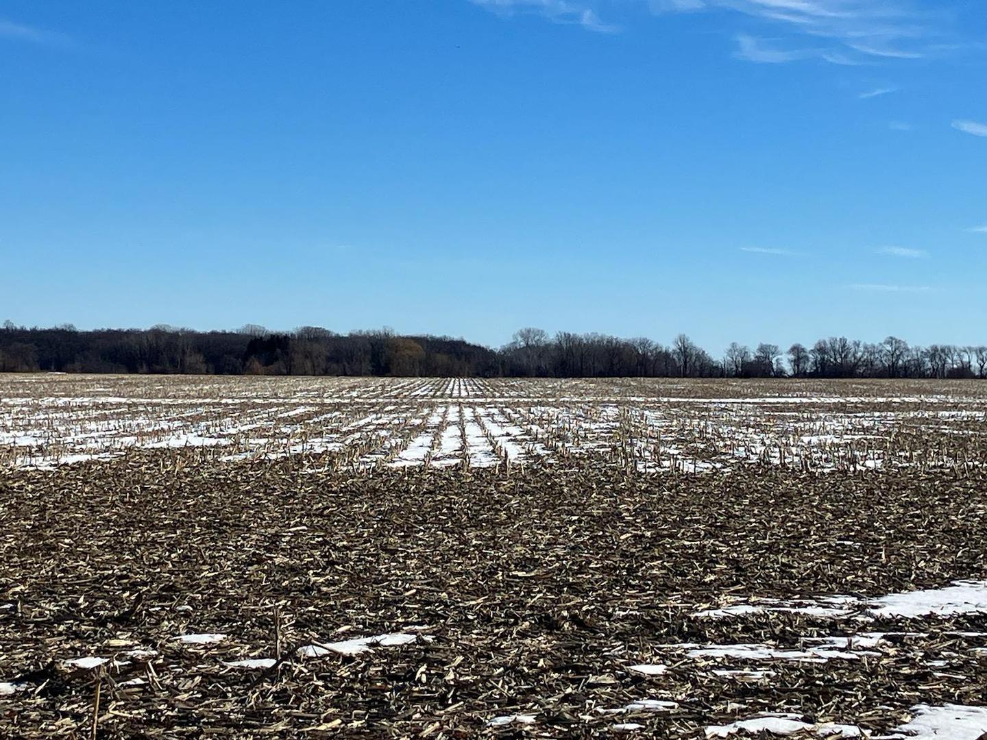 0 Grade School Road Poplar Grove, IL 61065 - Photo 9 of 10 a view of lake