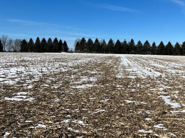 $1,192,000 | 0 Grade School Road, Poplar Grove, IL 61065