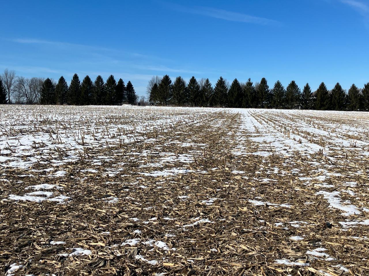0 Grade School Road Poplar Grove, IL 61065 - Photo 10 of 10 a view of pool with trees in background
