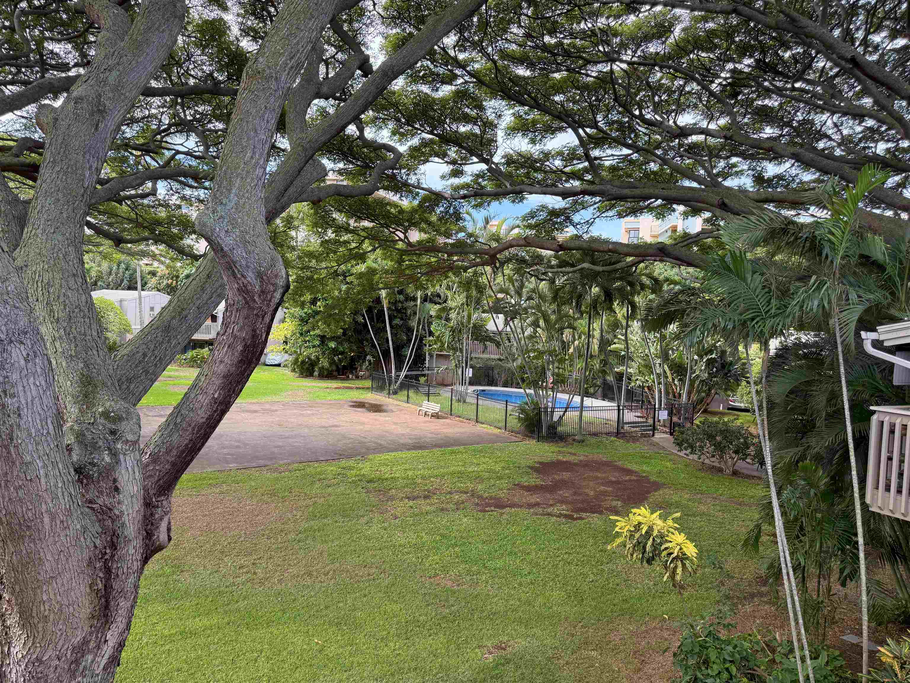 4435 Lower Honoapiilani Road, Unit 235 Lahaina, HI 96761 - Photo 19 of 21 a view of yard with swimming pool