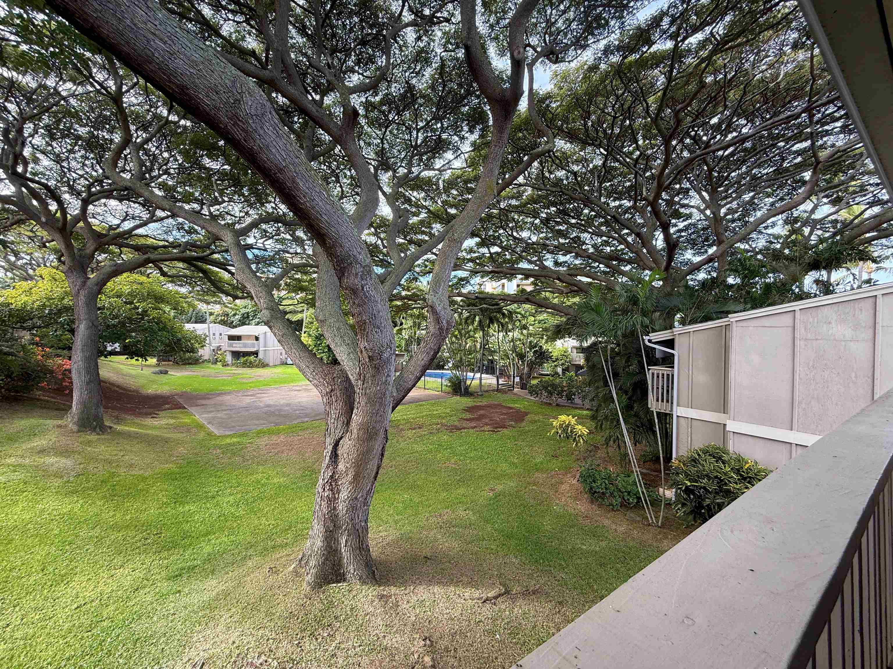 4435 Lower Honoapiilani Road, Unit 235 Lahaina, HI 96761 - Photo 20 of 21 a view of a garden with a tree