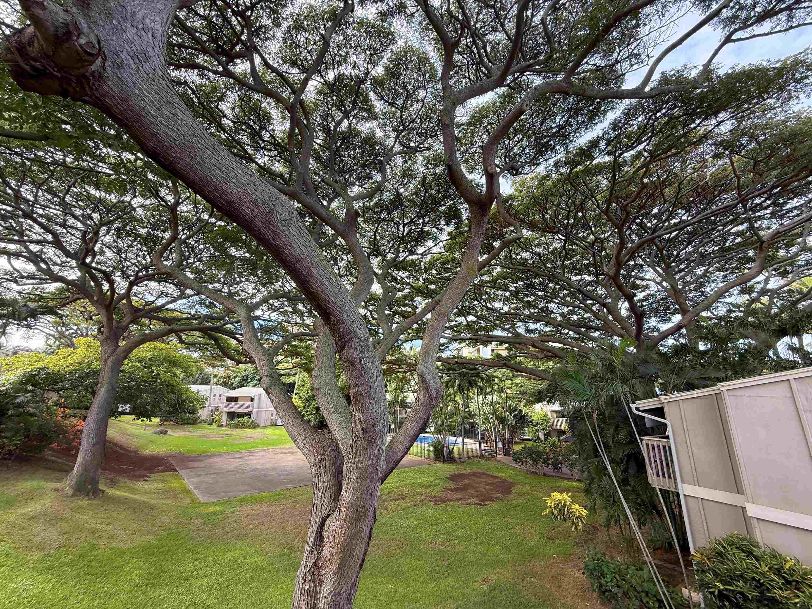 4435 Lower Honoapiilani Road, Unit 235 Lahaina, HI 96761 - Photo 21 of 21 a backyard of a house with swimming pool and outdoor seating